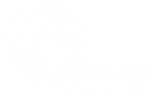 DLab Electrical Power Systems Logo